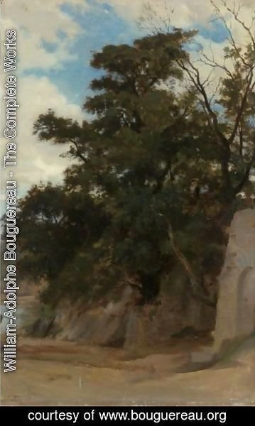 William-Adolphe Bouguereau - Trees In A Coastal Landscape